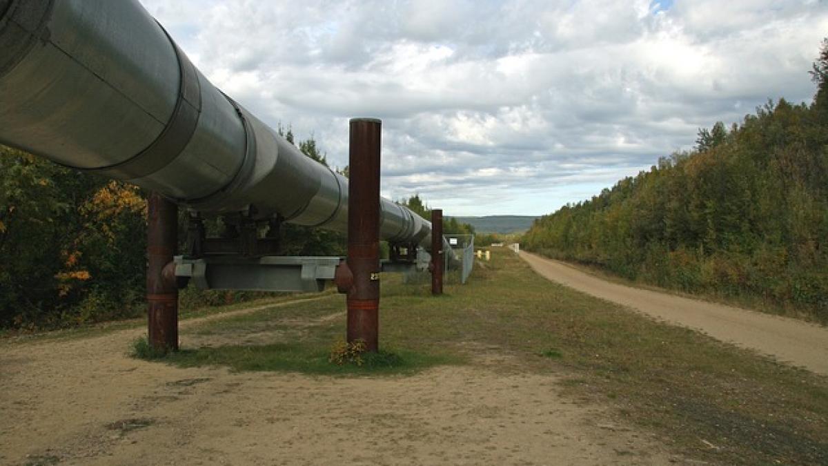 Transgaz vrea sa cumpere grupul grec DESFA impreuna cu Reganosa