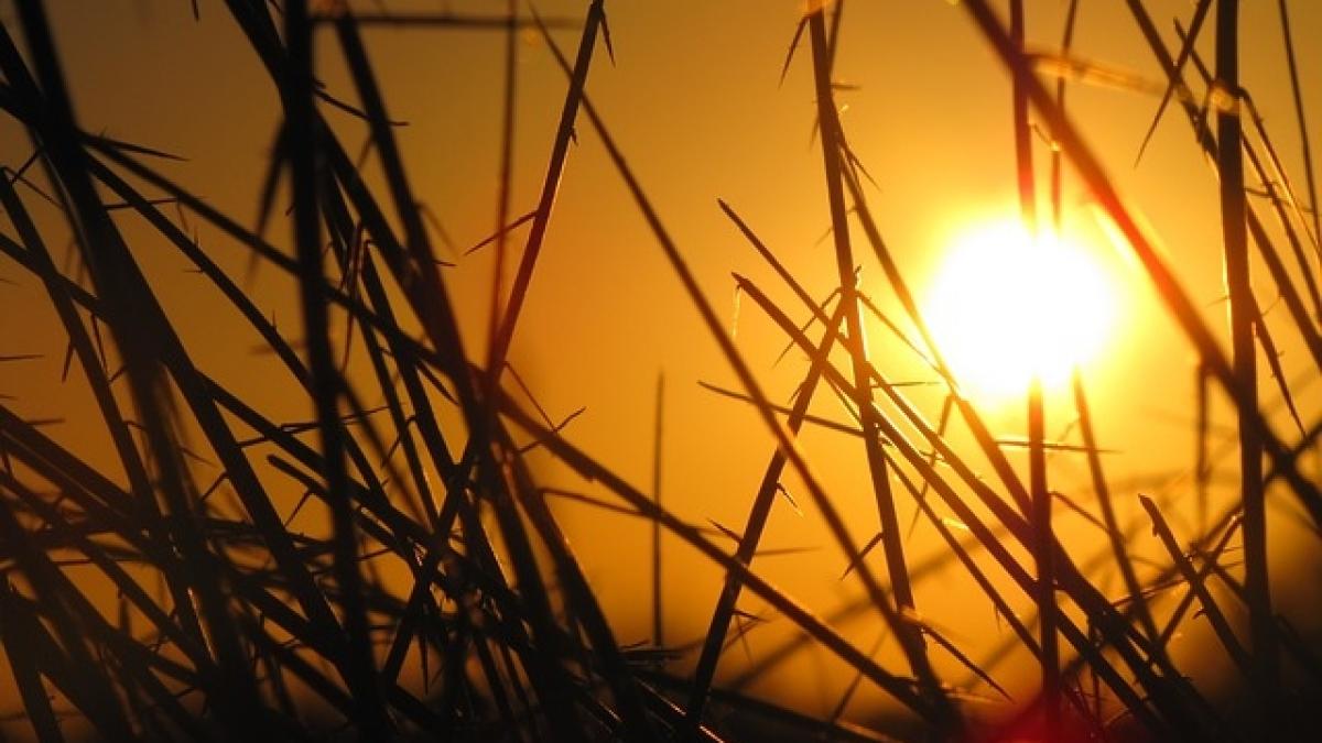 Australia: 2017, al treilea cel mai căduros an din istoria meteorologiei
