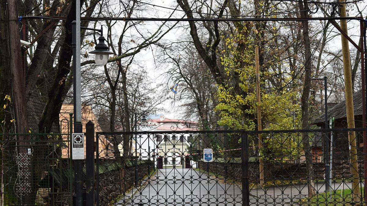 Guvernul, aviz negativ pe proiectul privind statutul juridic al Casei Regale