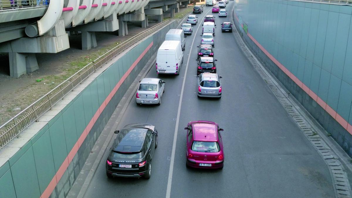 România a fost invadată anul trecut de rable