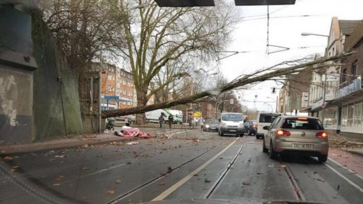 Furtuna "Friederike" a produs nouă morţi în nordul Europei şi haos în transporturi 