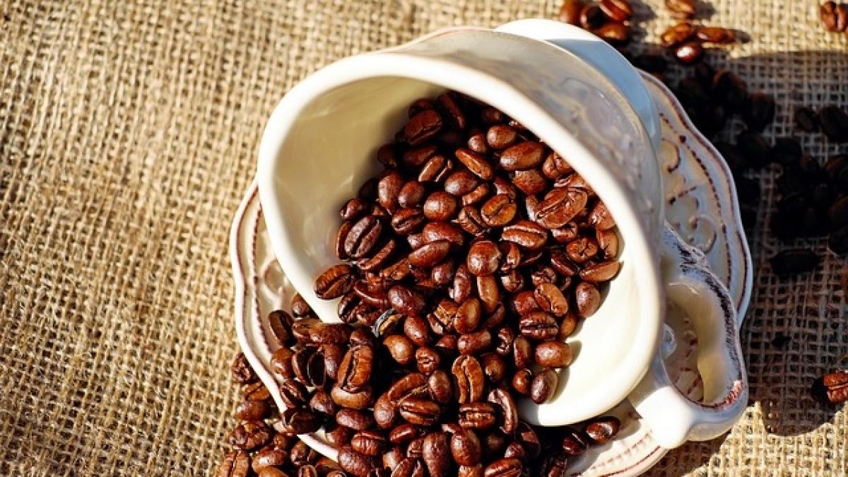 Cafeaua ar putea fi declarată produs cancerigen