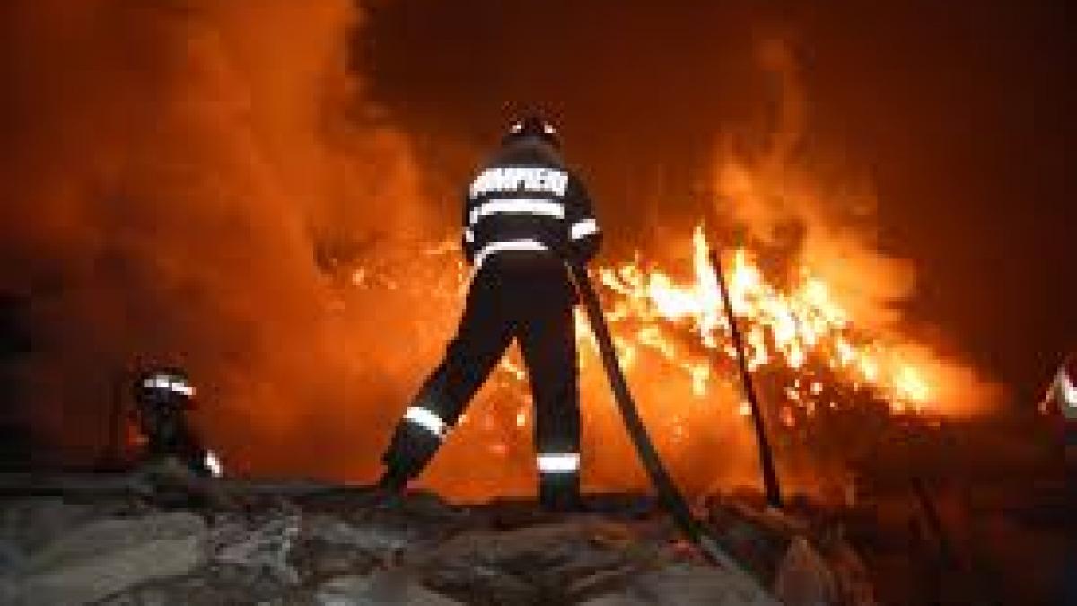 Alertă în Botoşani! Zeci de tone de furaje au ars şi mai multe animale au murit într-un incendiu puternic la un depozit