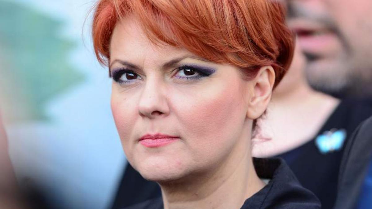 Olguţa Vasilescu susţine că angajatorii din mediul privat care au scăzut salariile 'l-au furat' pe angajat