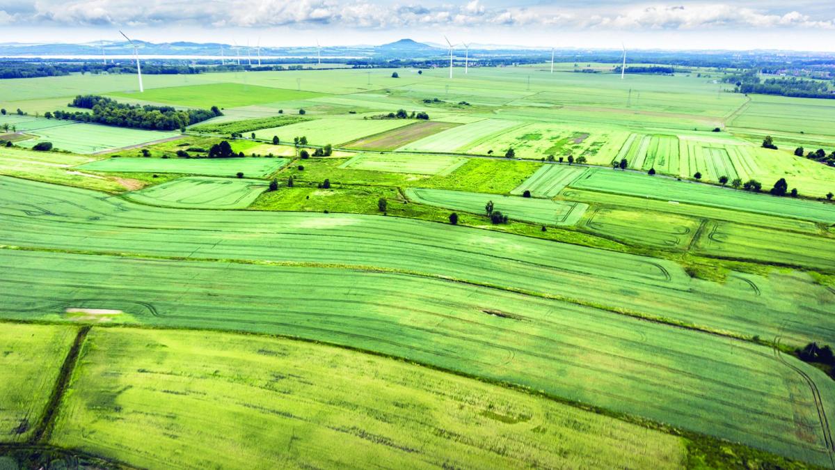Trimitem România la export pe parcele