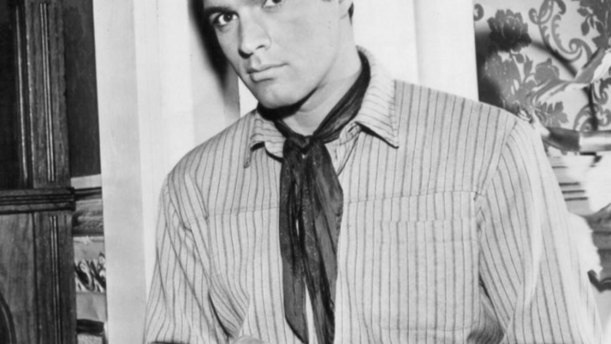 A murit John Gavin