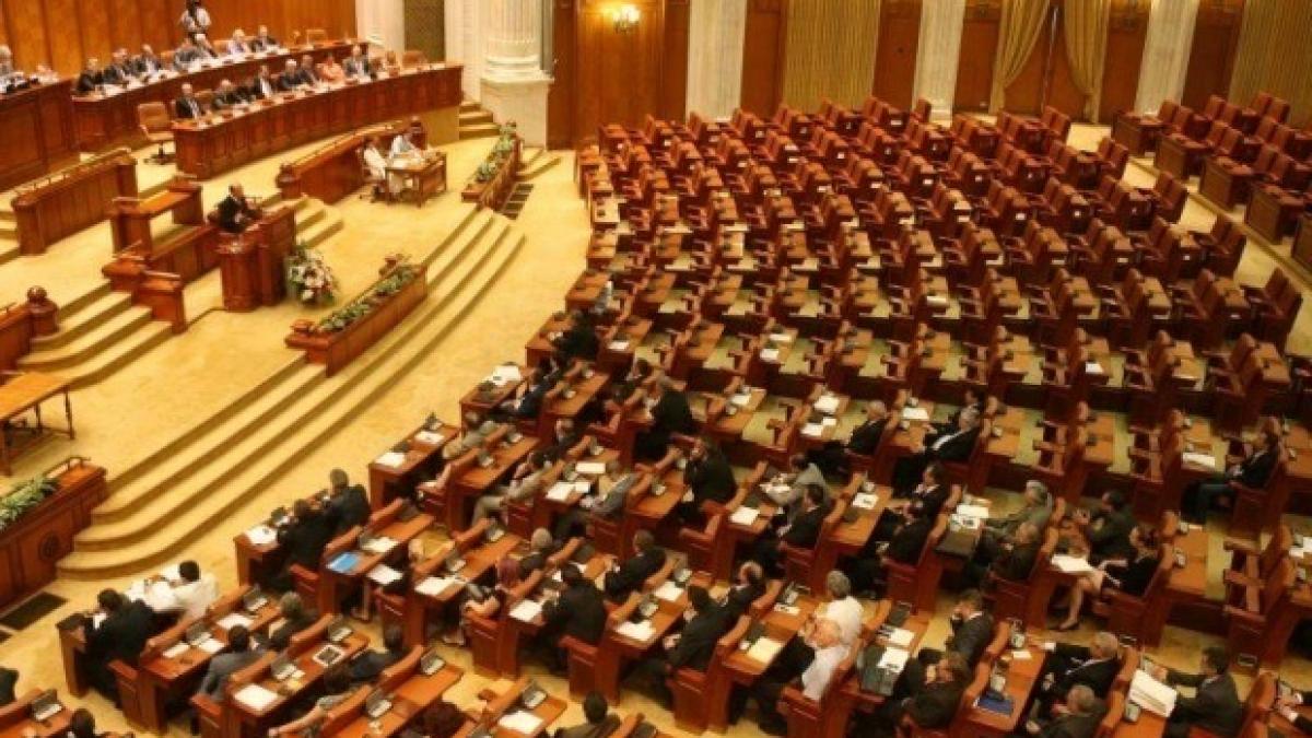 PNL a depus moţiunea simplă 'Lia Olguţa Vasilescu - ministrul minciunii şi al injustiţiei sociale'