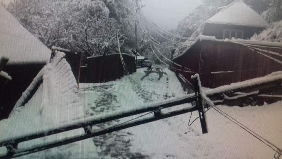 Ninsorile puternice şi viscolul au făcut ravagii în Vrancea!