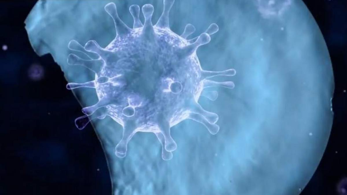 O boală misterioasă ar putea distruge omenirea, avertizează OMS