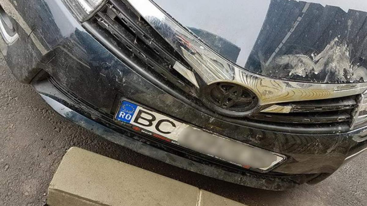 Ireal! O haită de câini a reușit să vandalizeze o maşină nouă în Bacău