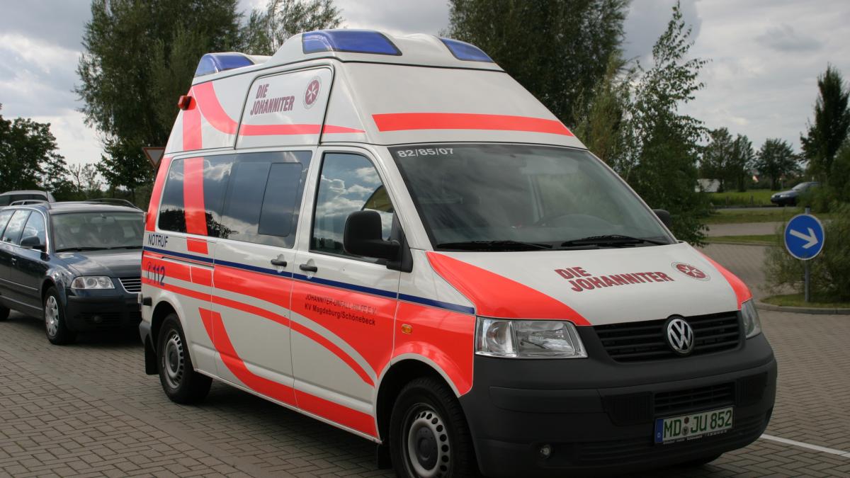 Germania confirmă descoperirea unui caz de gripă aviară H5N6