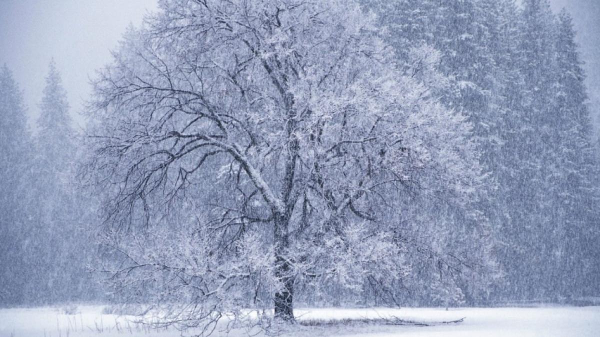 Prognoza METEO pentru 22, 23 și 24 martie: Ger, ninsori şi polei