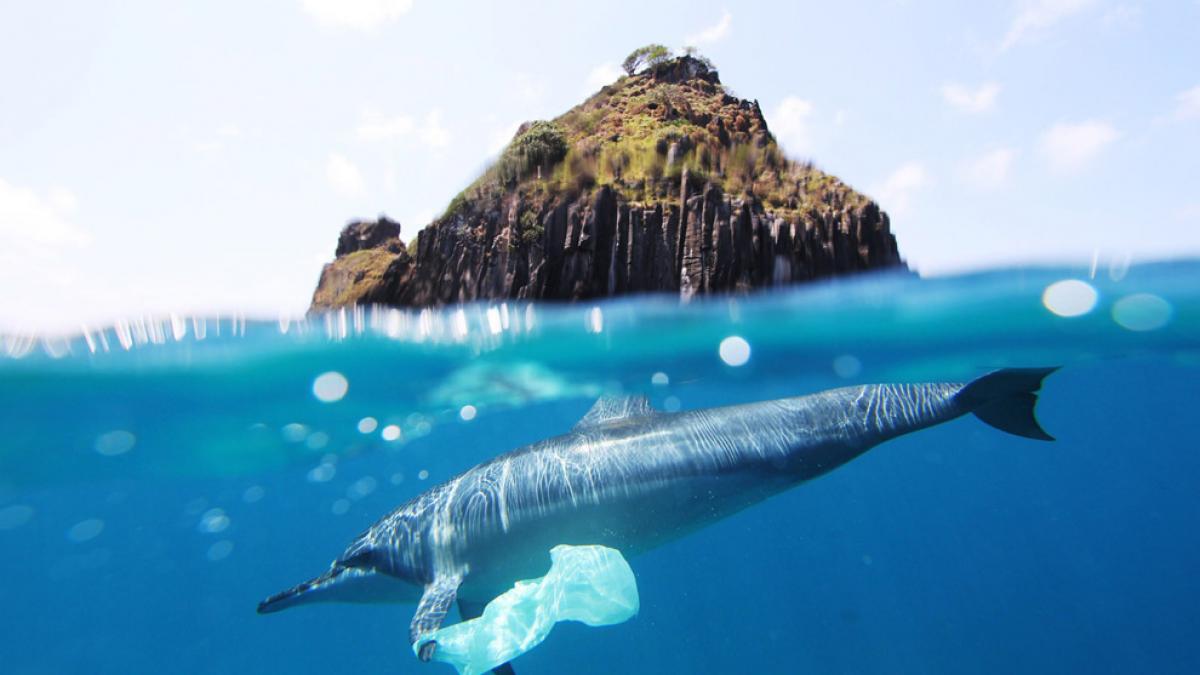 Muntele de plastic din Pacific are suprafață de două ori cât mărimea Franței și cântăreste 79.000 de tone