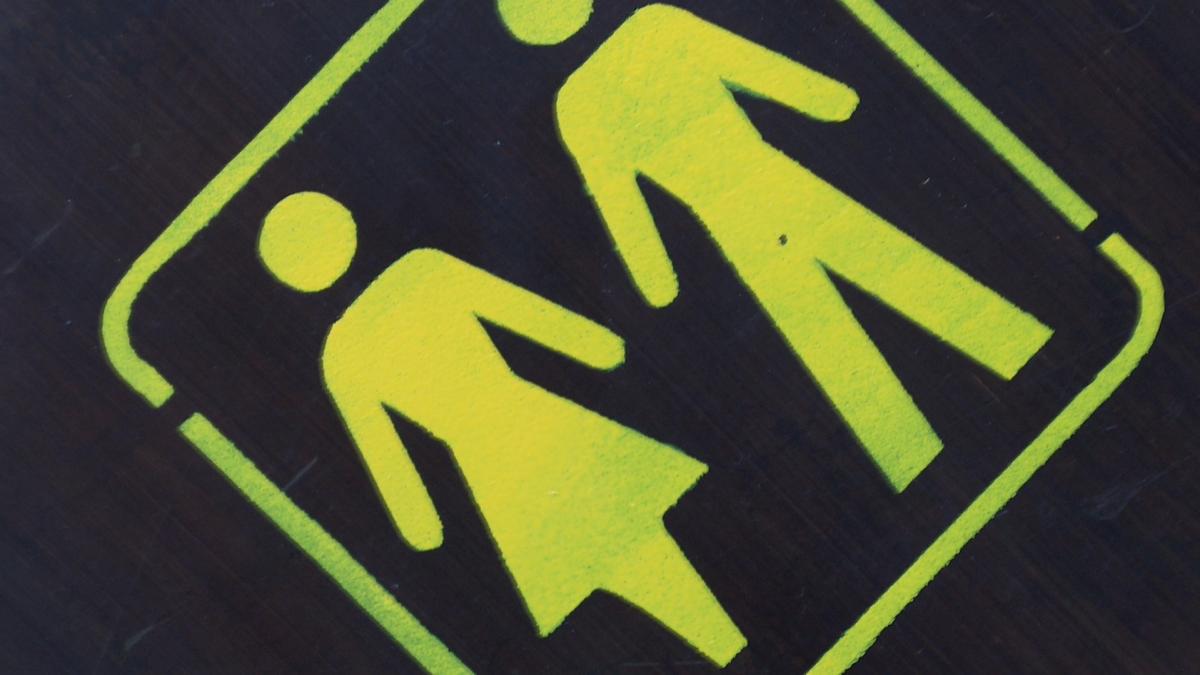Cei 5.000 de specialişti ai guvernării Dăncilă