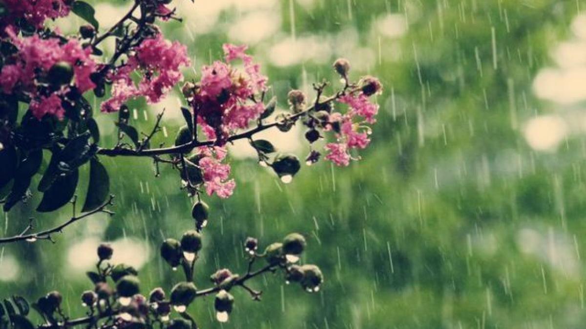 Meteorologii anunță vreme rece şi precipitaţii temporare în Capitală, duminică şi luni 