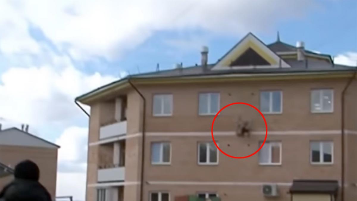 video ambitia postei nationale a rusiei s a izbit la propriu si la figurat de un zid