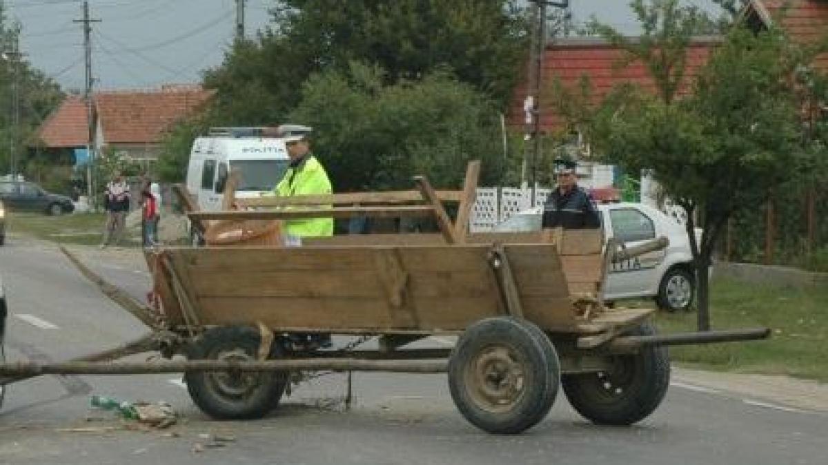 Tragedie fără margini la Braşov! O fetiţă de cinci ani a murit după ce a căzut dintr-o căruţă 