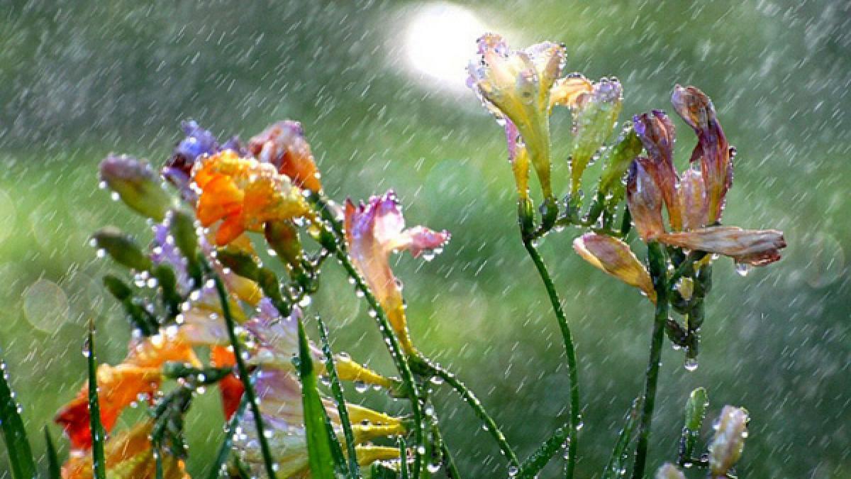 Prognoza METEO pentru 24, 25 și 26 aprilie: Precipitaţii
