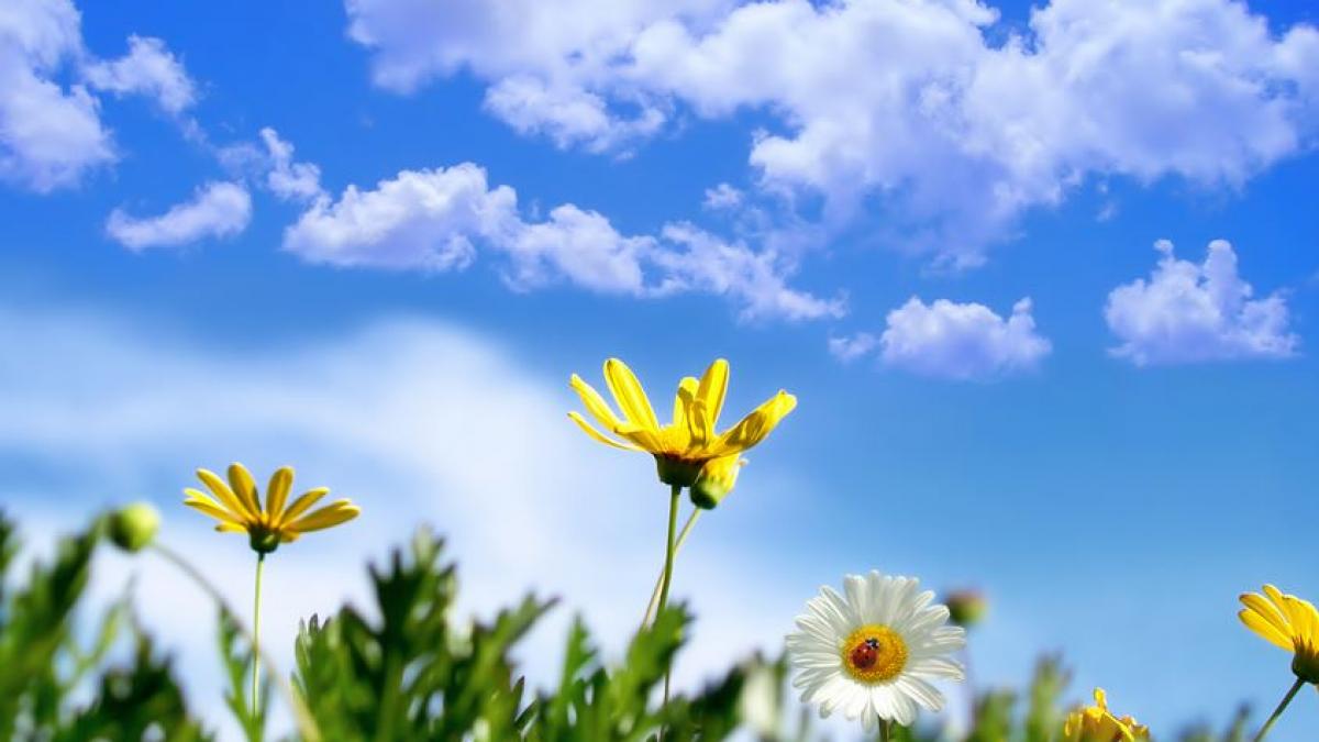 Prognoza METEO pentru 26, 27 și 28 aprilie: Vreme caldă