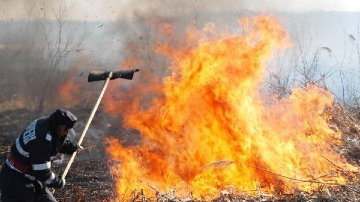 Alertă la  Braşov! Incendiu de vegetaţie uscată lângă Cetatea Râşnov 
