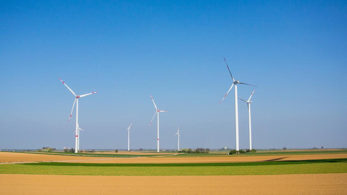 Maculatură pentru regenerabile şi eoliene transformate în clădiri