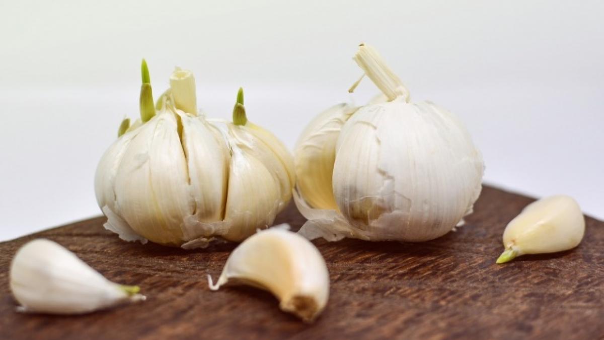 Usturoiul, un leac minune impotriva kilogramelor in plus