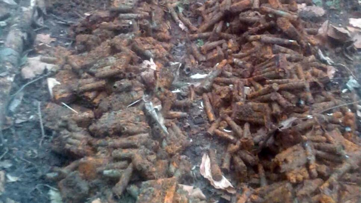 Descoperire incredibilă în Vrancea! Peste 2.400 de cartuşe au fost găsite în curtea unui centru de zi pentru copii 