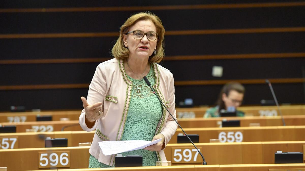 Grapini: Sloganul „UE nu ne lasă”, nesustenabil