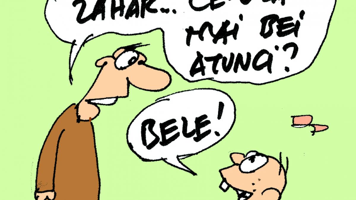 Pedepsiţi cu taxe către stat pentru ce băgăm în gură