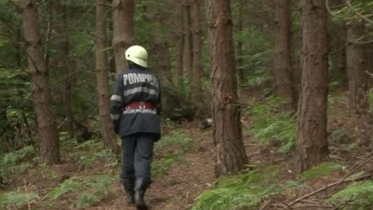 Un bătrân care a plecat la cules de ciuperci este căutat de salvamontişti în Masivul Vâlcan