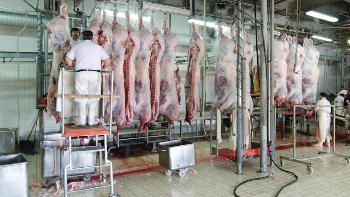România a importat carne şi preparate din carne de circa 125 milioane de euro, în primele două luni 
