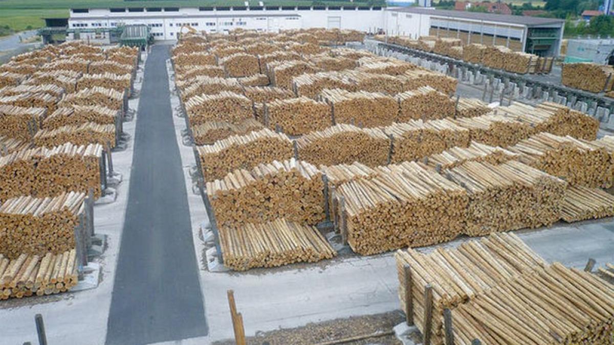 Patru directori ai Schweighofer Holzindustrie, puşi sub urmărire penală de DIICOT