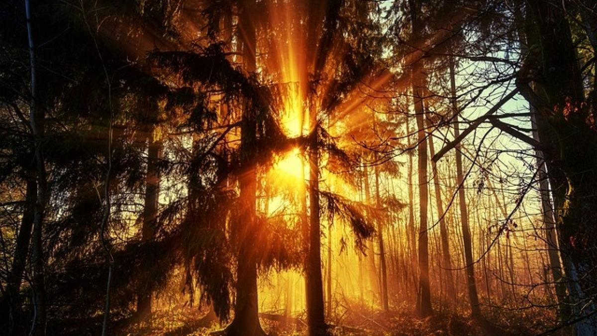 Mihai Voropchievici: Prognoza meteo din bătrâni 