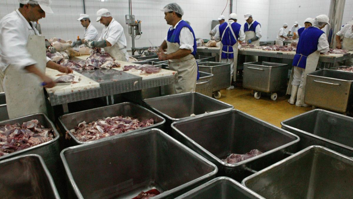 Genocidul servit zilnic la farfurie românilor. Câtă carne conţine un kilogram de carne