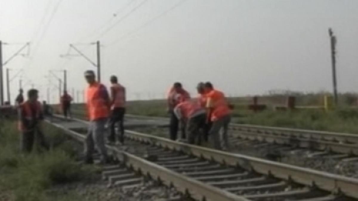 Un cioban şi şapte oi au murit loviţi de un tren în Ialomiţa