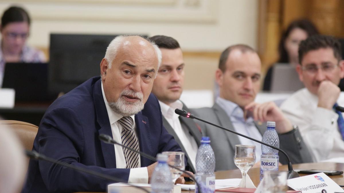 Vosganian trage nădejde în cultura politicienilor