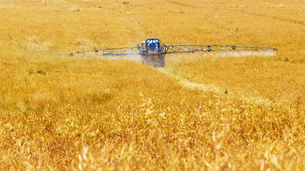 Agricost poate fi preluat de Al Dahra Agriculture