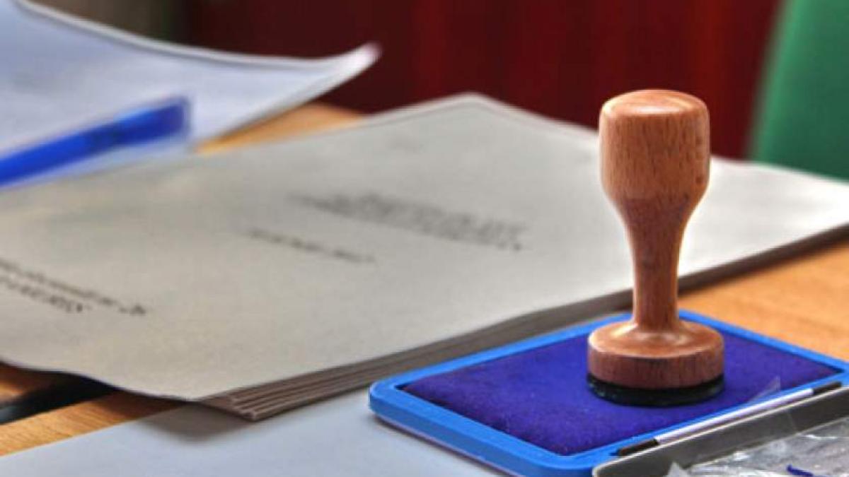 Senat: Campania electorală, permisă în ziua alegerilor