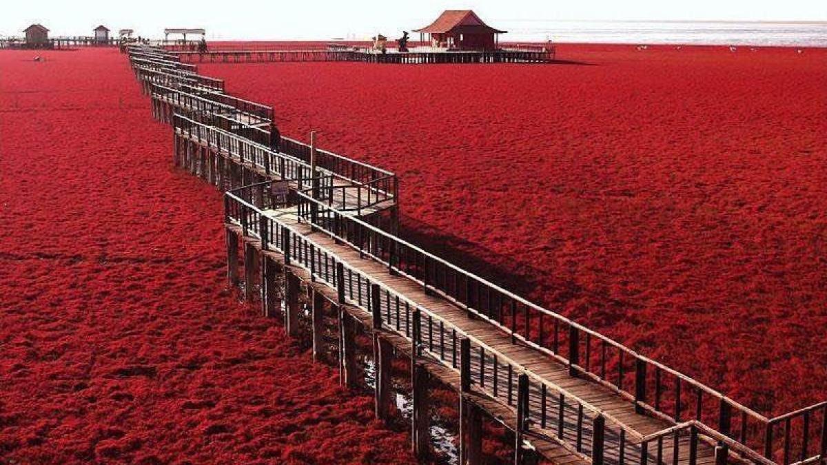 locuri uimitoare plaja rosie din china