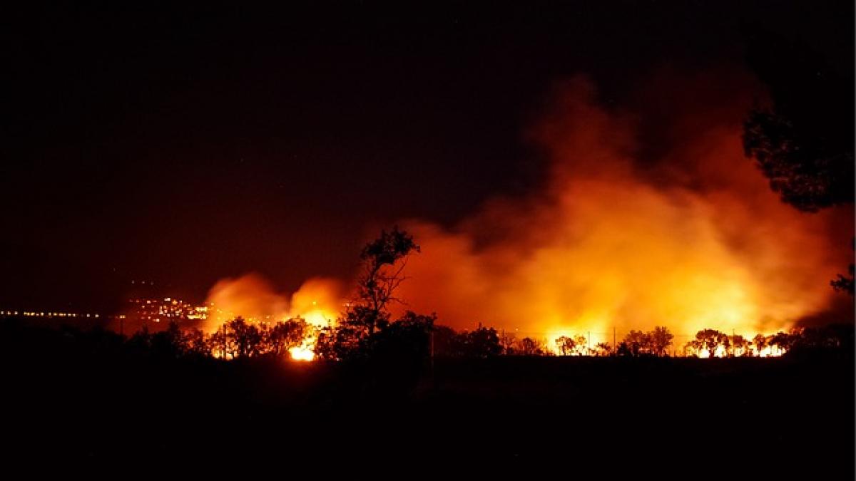 presedintele trump declara starea de urgenta in california din cauza incendiilor