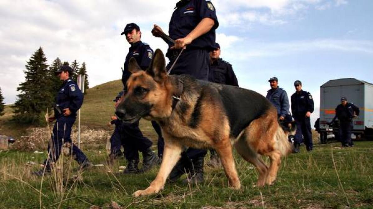Un bărbat din Constanţa este căutat în zona Muntele Mic pentru a treia zi consecutiv