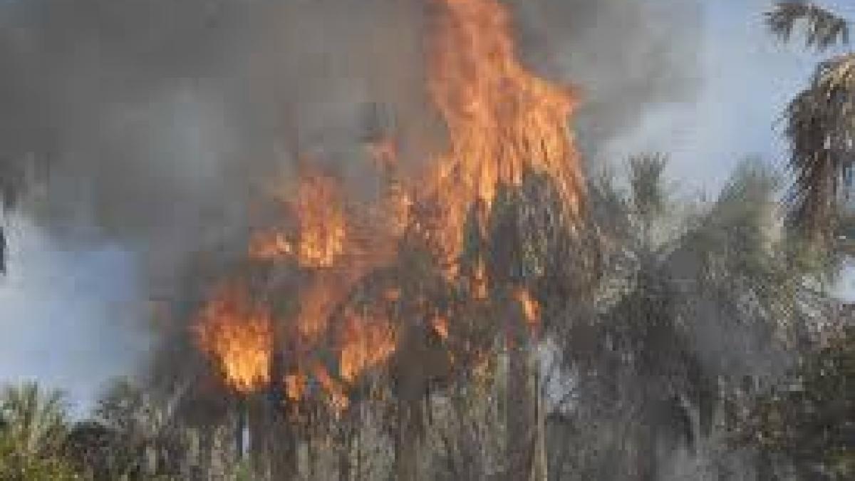 Două incendii de vegetație din California s-au extins la peste două treimi din suprafața Los Angeles
