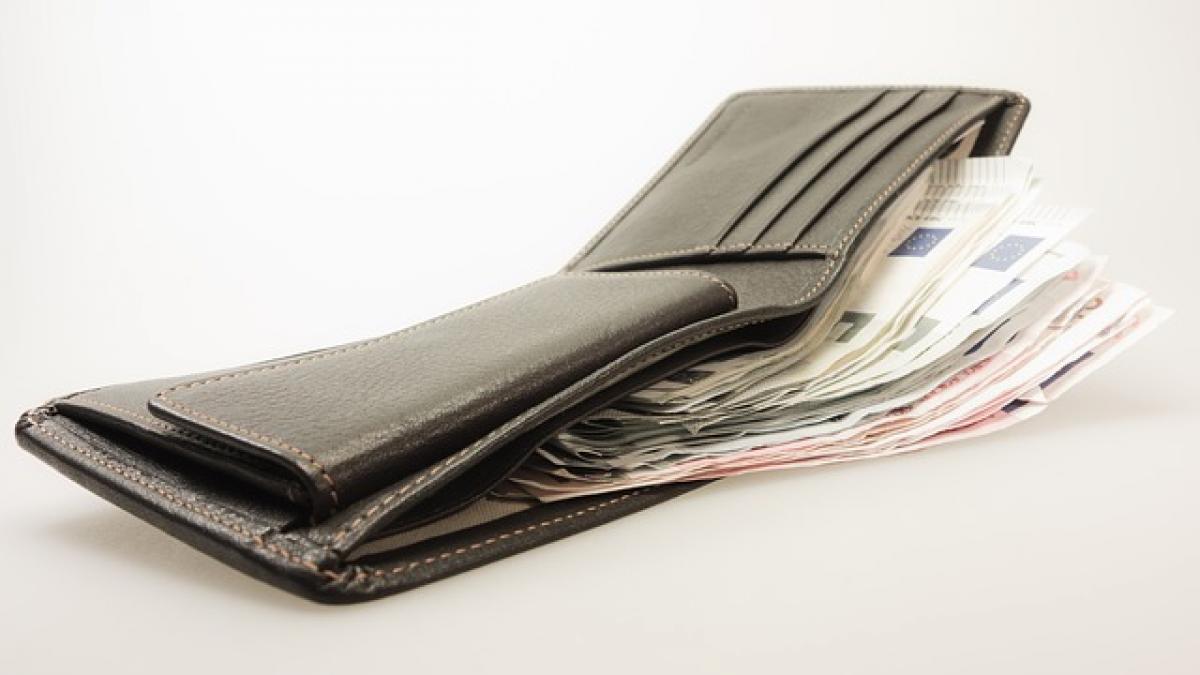 Olguţa Vasilescu: Este exclus să se elimine salariul minim