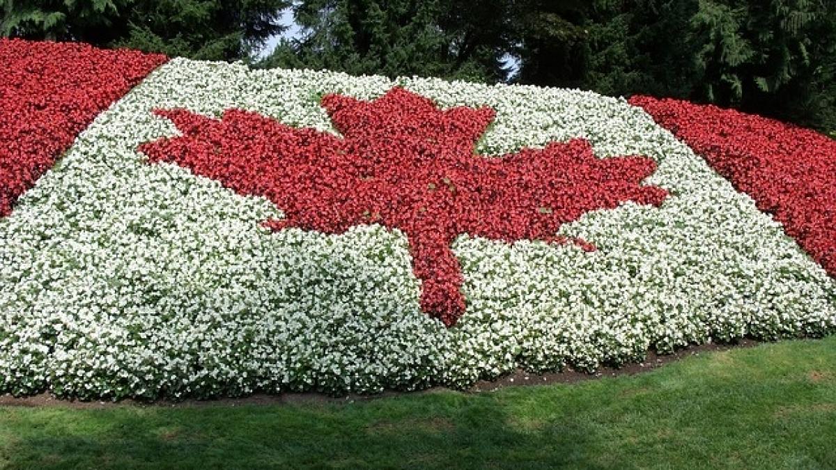 Canada va extrăda un criminal condamnat în România