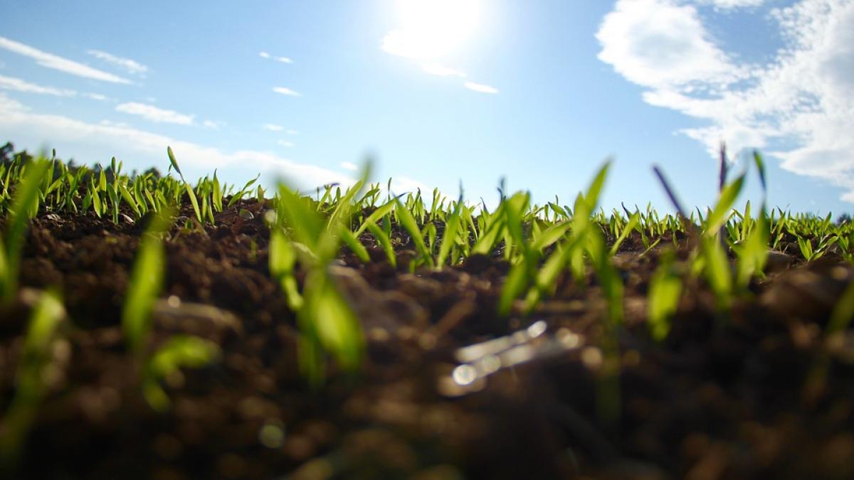 Prognoză METEO pentru 9, 10, 11 şi 12 august. Temperaturi ridicate
