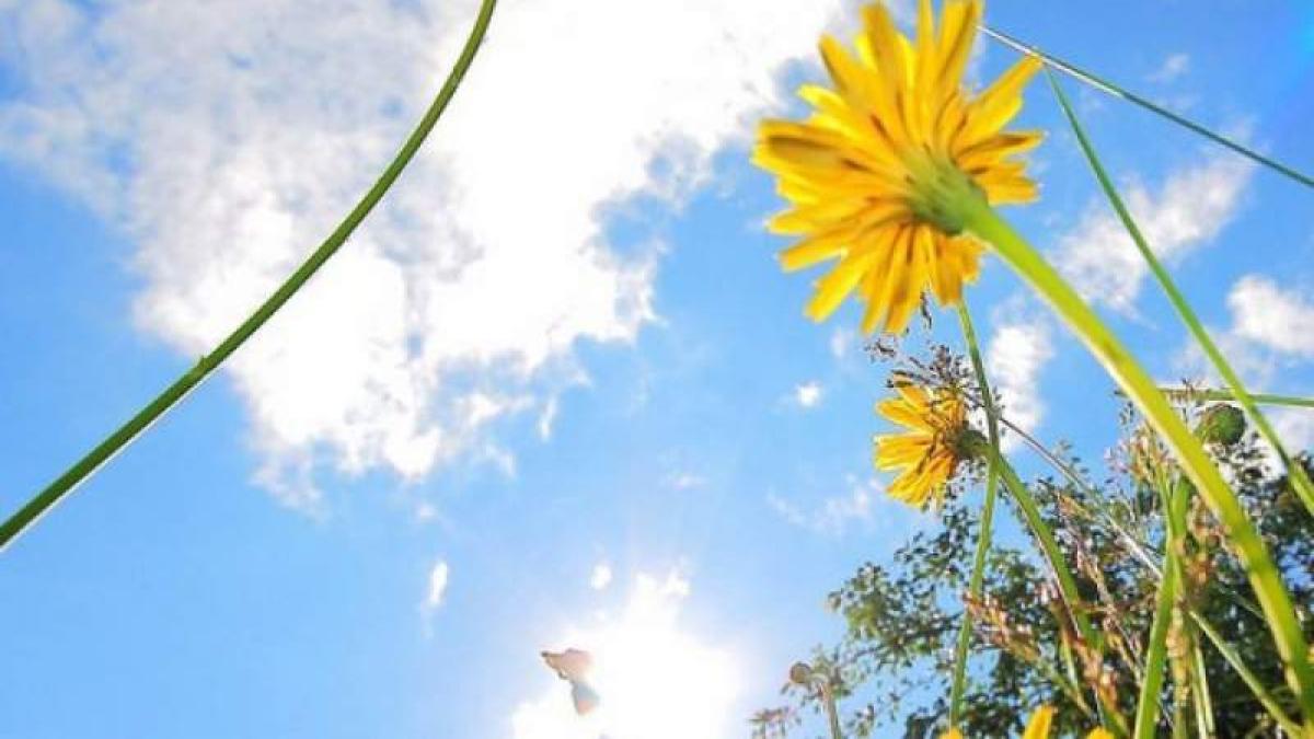 Anunț de la meteorologi! Vreme caldă în aproape toate regiunile țării