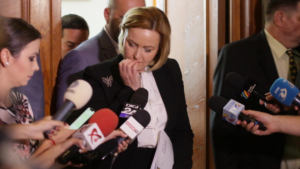 Carmen Dan admite că şi-a întrerupt concediul pentru mitingul Diasporei