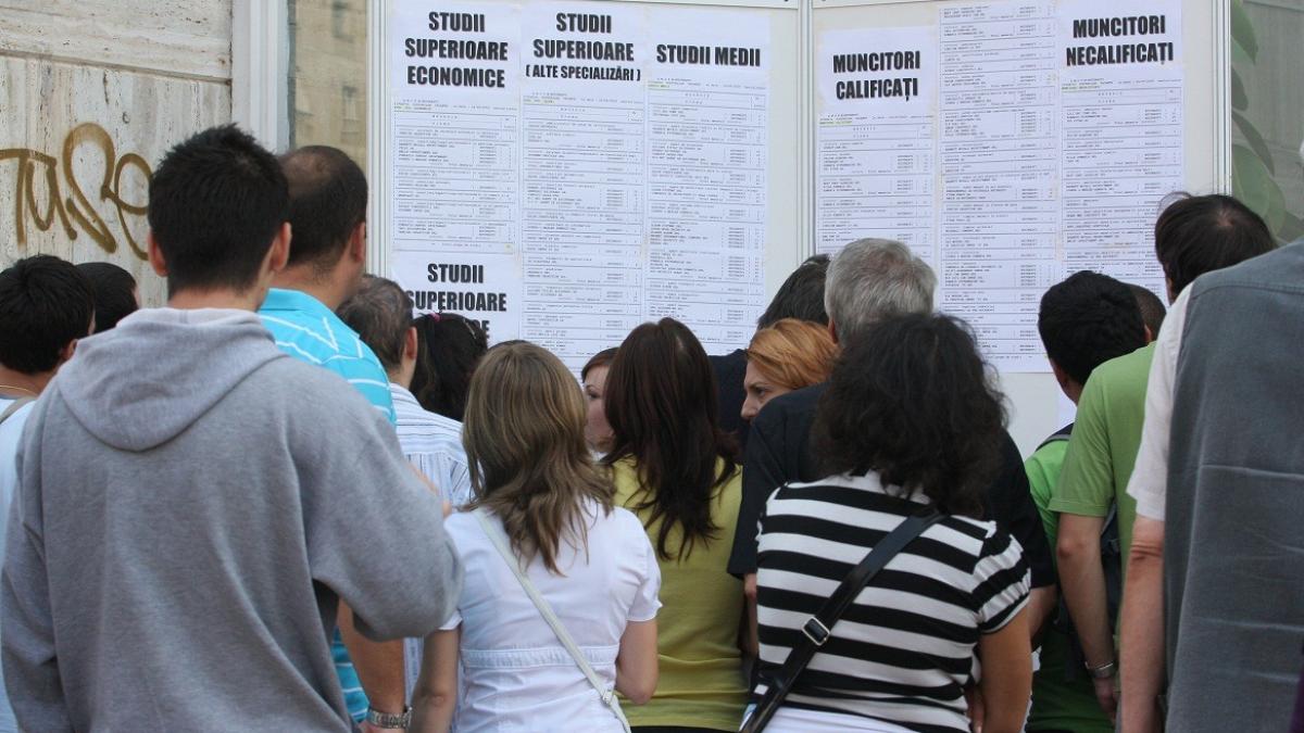 Veşti excelente de la ANOFM! Aproape 30.000 locuri de muncă vacante la nivel naţional