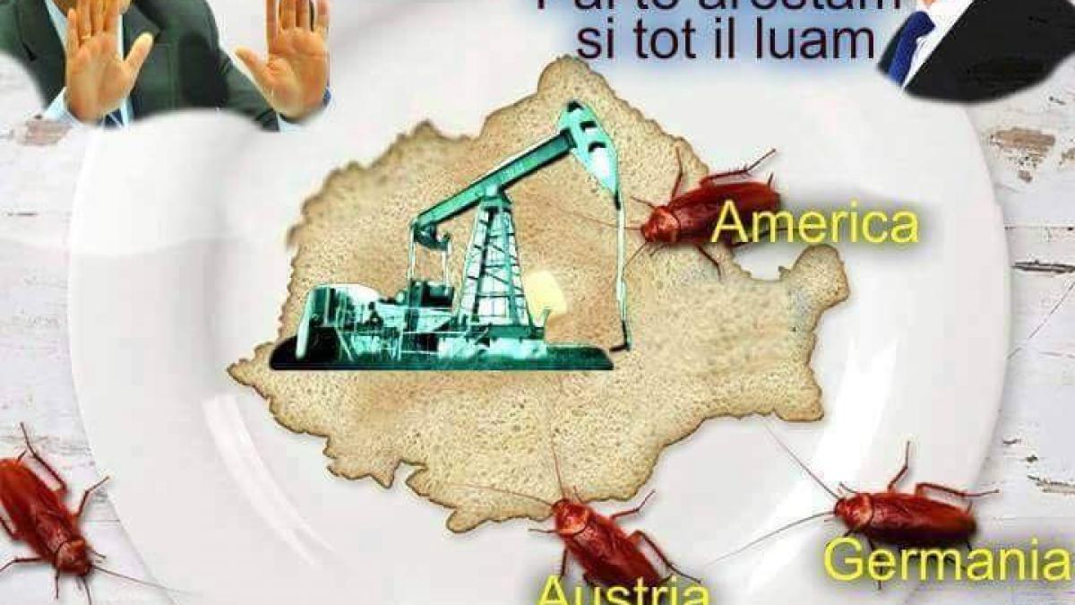 De piept cu restul lumii. Fobia de străin, la modă