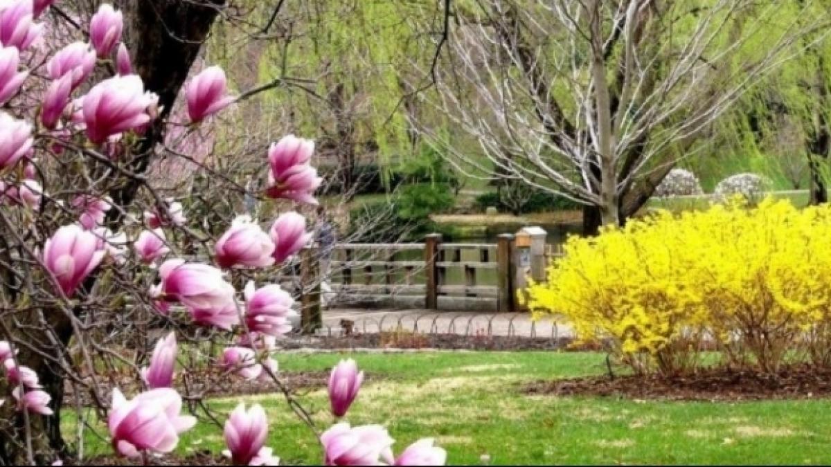 ANM: Temperaturi medii peste normele climatologice şi ploi în zonele montane,în următoarele patru săptămâni